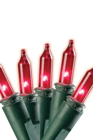 Clearance Hometown Holidays 07522 Mini Light Set, 25-Lamp, LED Lamp, Pack of 24