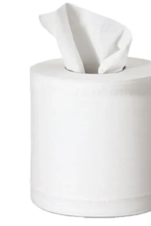 In Demand North American Paper 882004 Universal Center-Pull Paper Towel, 7.6 in L, 10 in W, 2-Ply