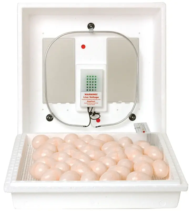 Best Choice Little Giant 9300 Egg Incubator, 110 V, 41 Large Chicken Eggs Egg, Styrofoam