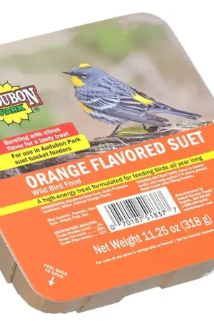 Audubon Park 13768 Sunflower Seed Orange Flavored Suet, 11.25 oz, Box, Pack of 12 Free Returns
