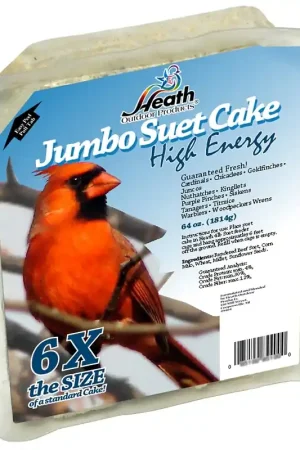 Best Seller Heath DD-2 Suet Cake, All-Season, High-Energy, 4 lb, Pack of 4