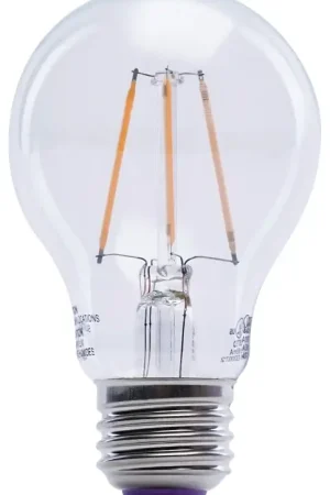 Cheap Feit Electric A19/TP/LED LED Bulb, 120 V, 450 Lumens, 4.5 W, A19 Lamp, 25 W Equivalent, E26 Lamp Base, Clear, Pack of 6