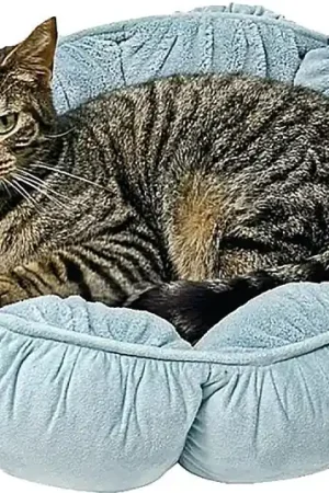 Aspenpet 27459 Pillow Pet Bed, 18 in Dia, 18 in L, 18 in W, Puffy Round Pattern, Poly Fiber Fill, Assorted Best Price