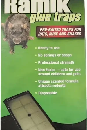 Bargain Neogen 116230 Glue Trap, Pre-Baited, Clear/Light Yellow, Pack of 12