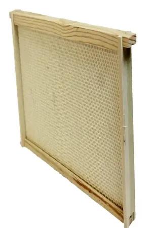 Fresh Stock Harvest Lane Honey WWFFD-101 Bee Frame, Plastic/Wood
