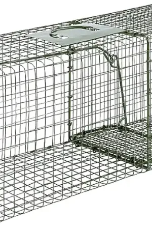 Duke Traps 1112 Cage Trap, 30 in L, 12 in W, 12 in H Big Sale