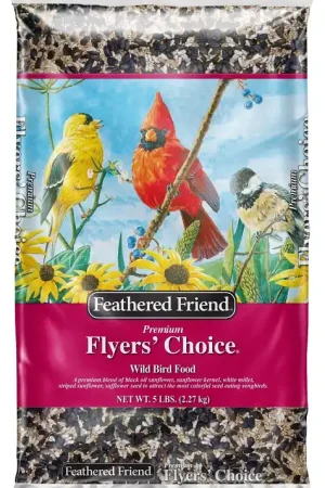 Genuine Feathered Friend Flyers' Choice 14398 Safflower Seed Wild Bird Food, 5 lb, Premium, Blended, Bag