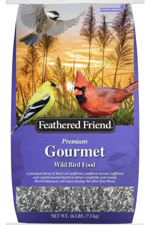 Feathered Friend 14466 Gourmet, 16 lb Affordable