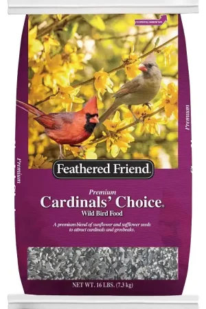 Trending Feathered Friend Cardinals' Choice 14395 Safflower Seed Wild Bird Food, 16 lb, Premium, Blended, Seed, Bag