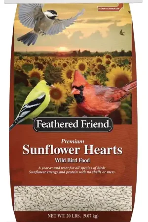 Feathered Friend 14414 Sunflower Hearts, 20 lb, Bag Super Sale