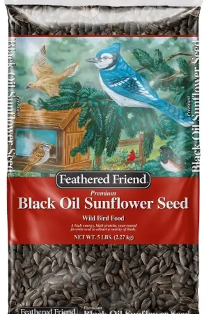 Buy Online Feathered Friend 14416 Black Oil Sunflower Seed Wild Bird Food, Straight, Seed, 5 lb Bag