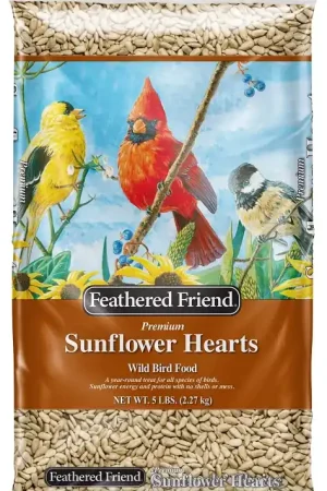 Feathered Friend 14403 Sunflower Hearts Wild Bird Food, Straight, 5 lb Bag Budget