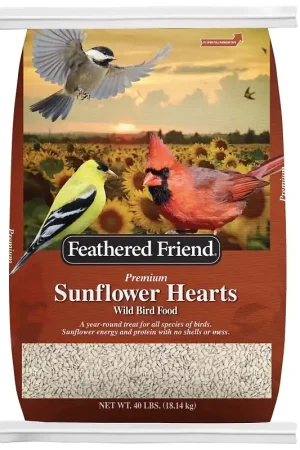 Best Choice Feathered Friend 14415 Sunflower Seed Sunflower Hearts, 40 lb, Bag