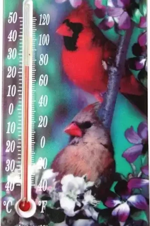 Taylor 5204 Thermometer, 1/2 x 4 x 8 in Dimensions, -40 to 120 deg F Factory Price