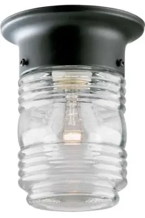 Instant Buy Westinghouse Matte Clear Porch Light