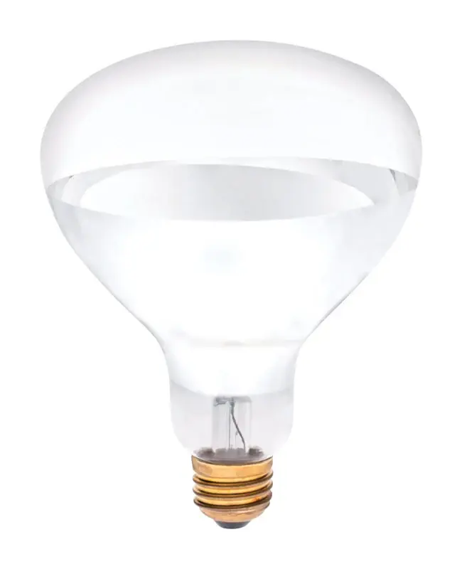 Next Day Delivery Westinghouse 250 W R40 Reflector Incandescent Bulb E26 (Medium) White 1 pk, Pack of 6