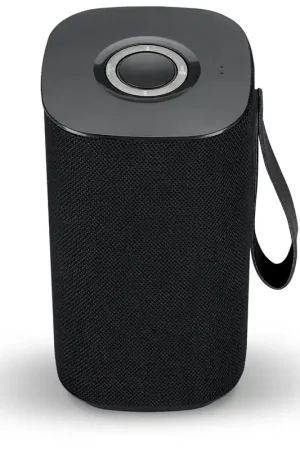 In Demand iLive Wireless Bluetooth Portable Speaker