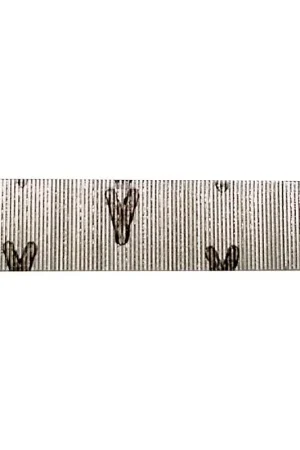 Luxury Senco 5/8 in. L X 23 Ga. Straight Strip Galvanized Micro Pins 2,600 pk